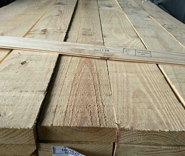 泉山阿根廷松木